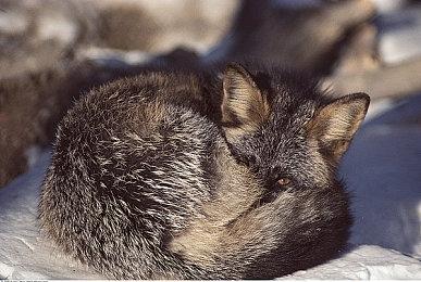 小岛秀夫发布《死亡搁浅2》新角色预告图 或是津田健次郎